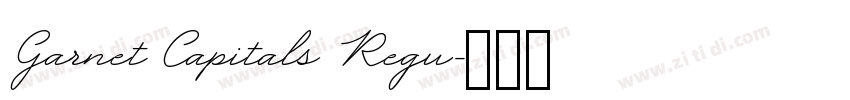 Garnet Capitals Regu字体转换